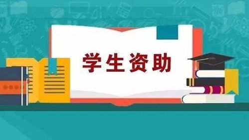 沒錢上大學？超全資助政策匯總，助你圓夢無壓力